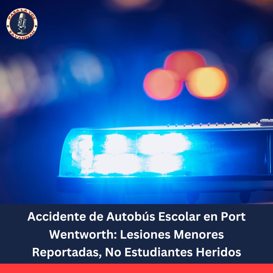 autobus escolar del sccpss en accidente en port wentworth