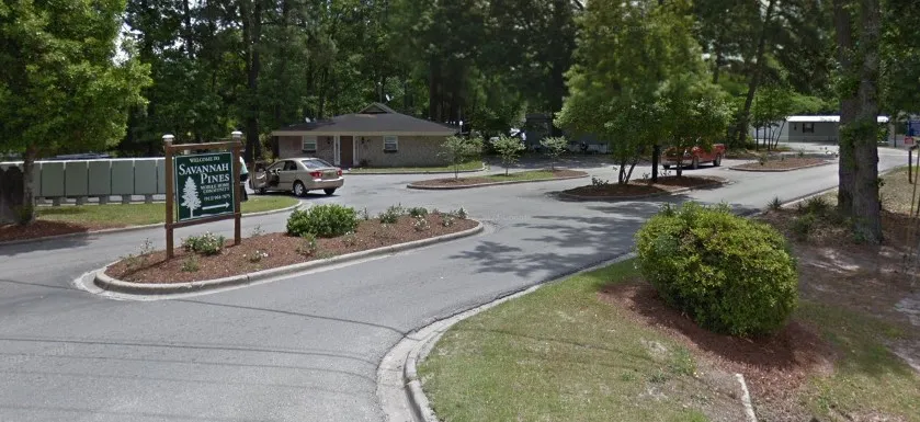 Savannah Pines