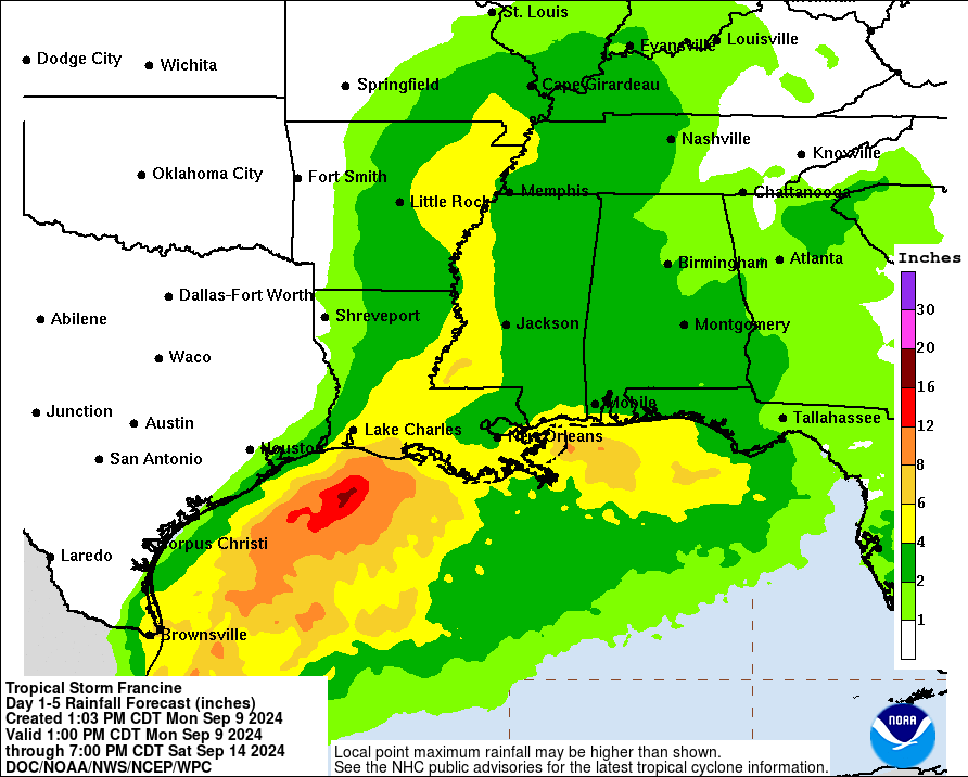 Tormenta Tropical Francine se forma frente al Golfo de México. Traerá fuertes lluvias al norte de Georgia