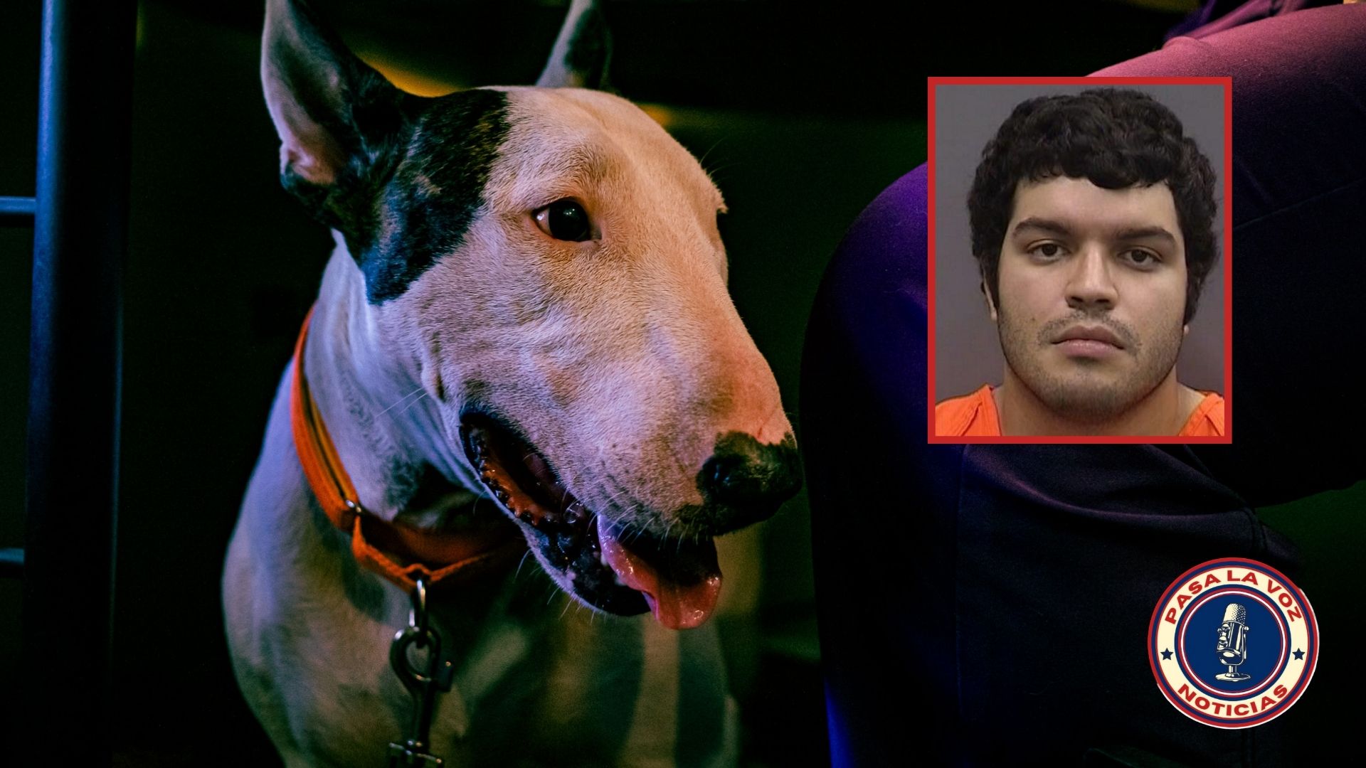 Dueño de mascota atada en Florida es apresado. Giovanny Aldama García se enfrenta a crueldad animal y hasta 5 años de cárcel
