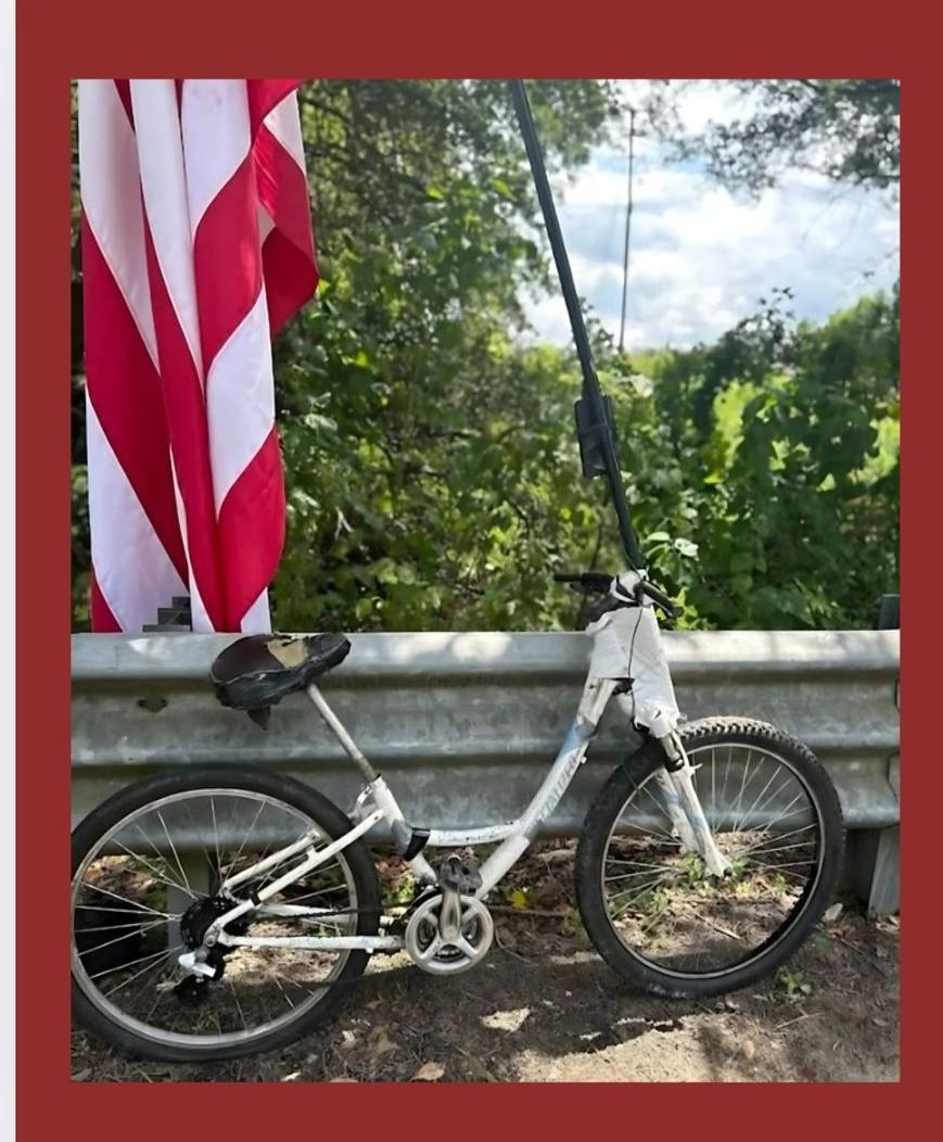 larry haywood hombre de la bandera savannah hit and run
