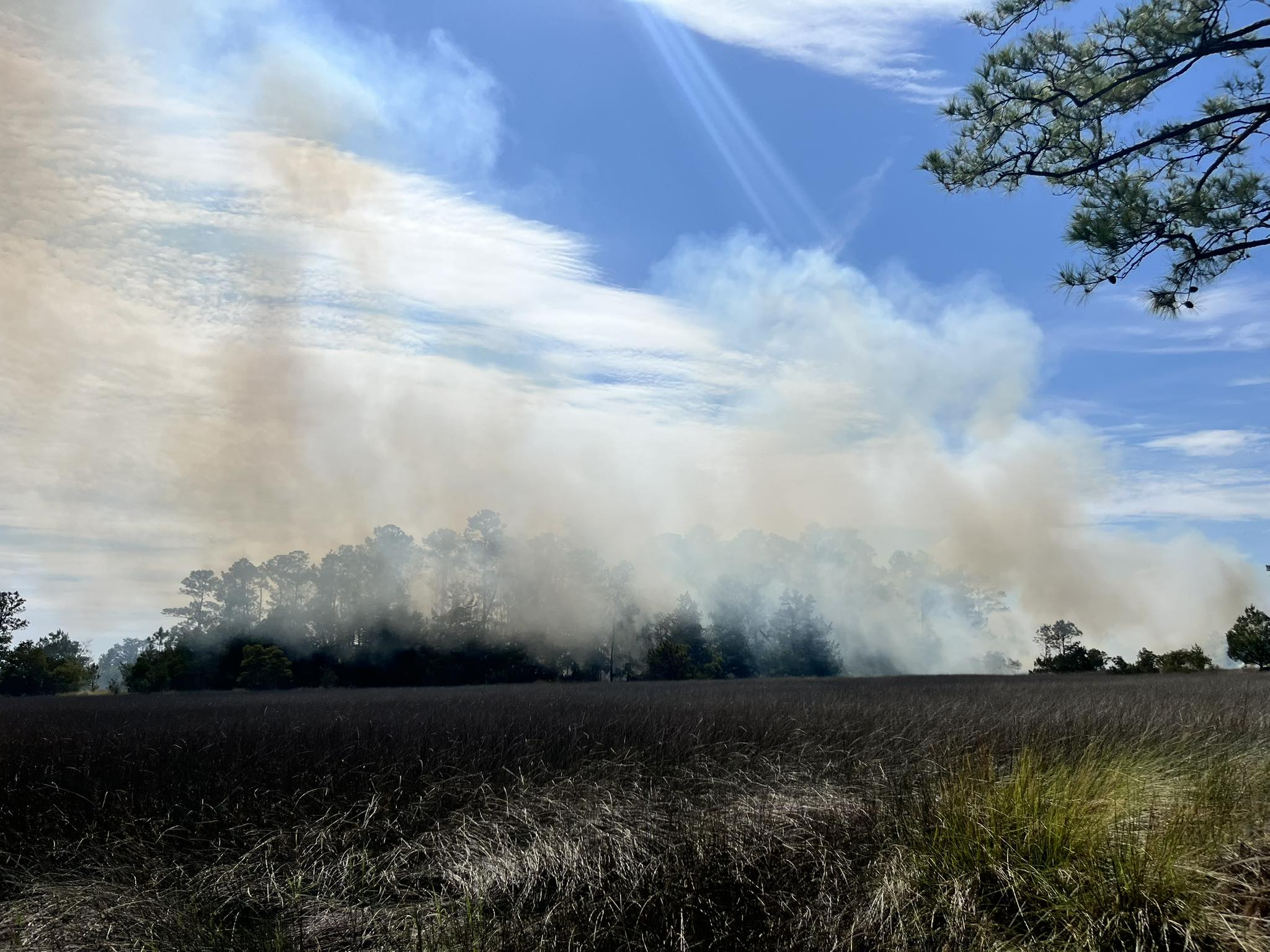 CCFD y CCMC combaten incendio forestal ocurrido cerca del Little Ogeechee River